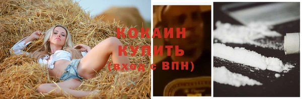 амф Белокуриха