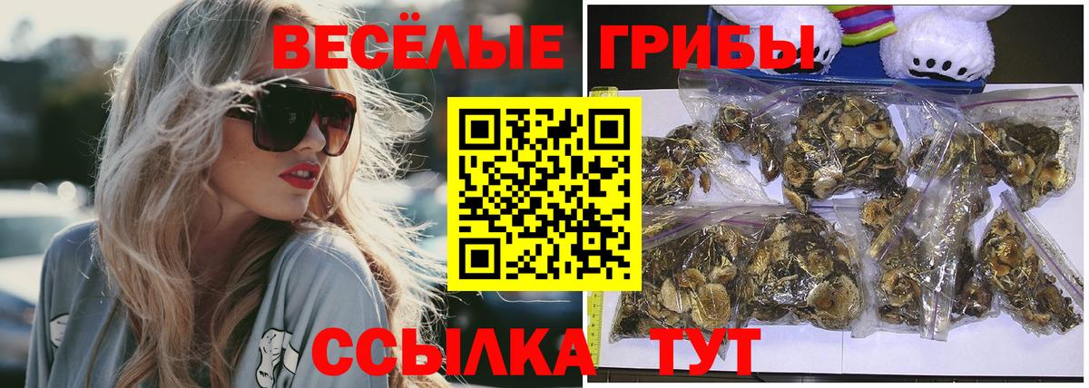 Псилоцибиновые грибы Cubensis Ногинск