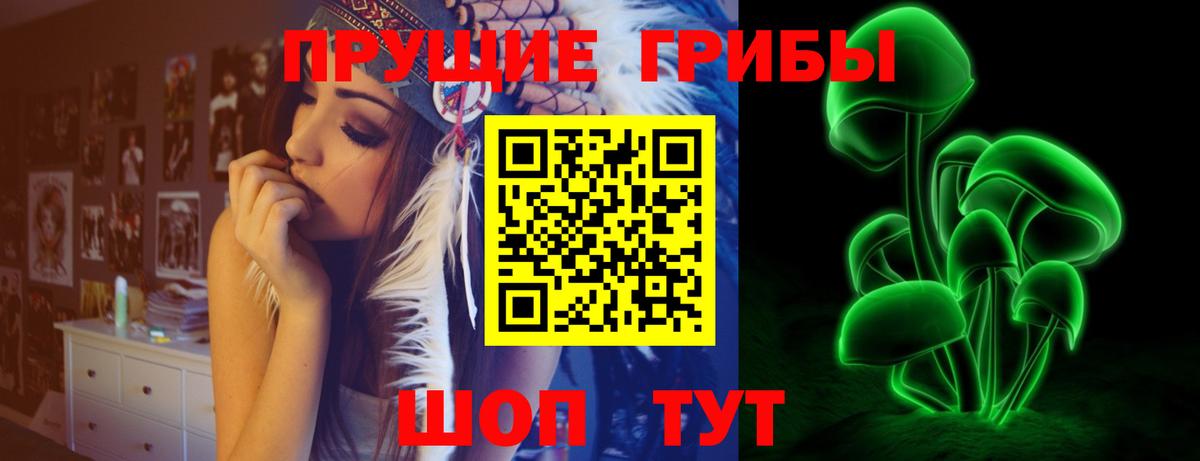 Галлюциногенные грибы ЛСД  Вход с VPN  Ногинск 